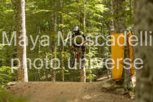 IMG_8521
