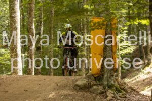 IMG_8540