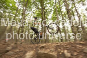 IMG_8582
