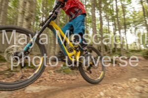IMG_8587