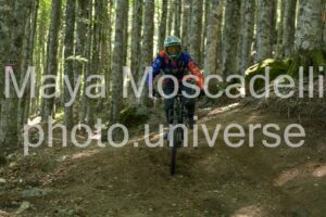 IMG_8654