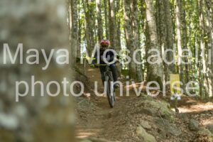 IMG_8687