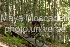 IMG_8711