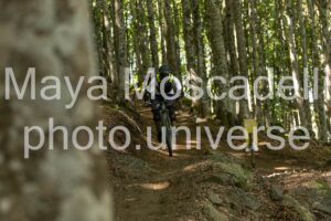 IMG_8761
