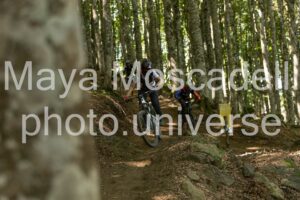 IMG_8764