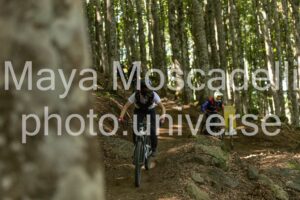 IMG_8765
