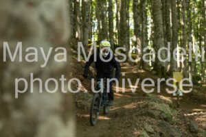 IMG_8778