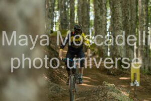 IMG_8808