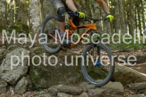 IMG_8848
