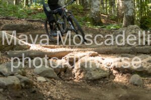 IMG_8852