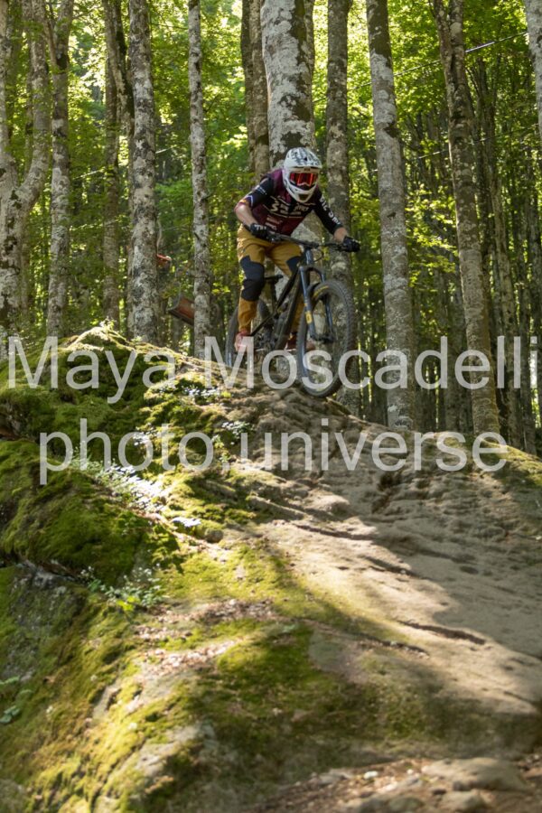 IMG_8868