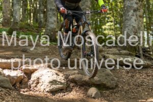 IMG_8880