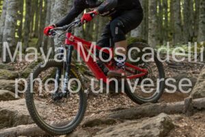IMG_8904