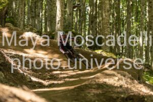 IMG_8942