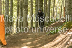 IMG_8967