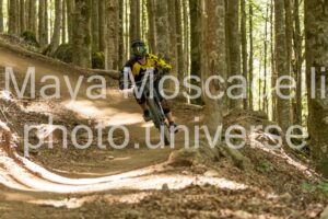 IMG_8988