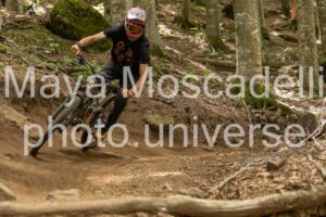 IMG_8994