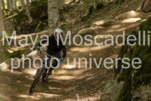 IMG_9041
