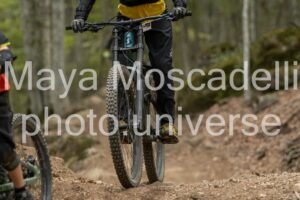 IMG_9239