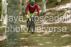 IMG_9294