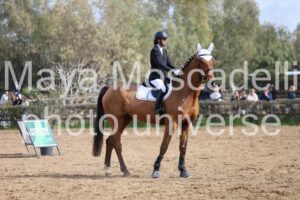 IMG_3839
