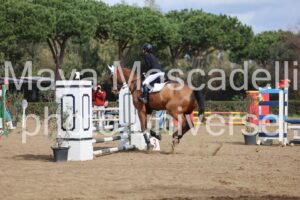 IMG_3851