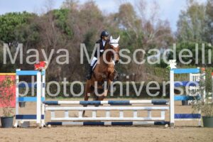 IMG_3862