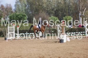 IMG_3872