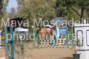 IMG_3890