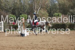 IMG_3942