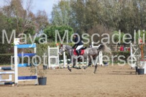 IMG_3945