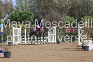 IMG_3947