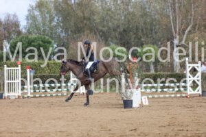 IMG_3987