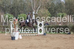 IMG_3993