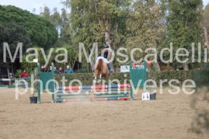 IMG_4023