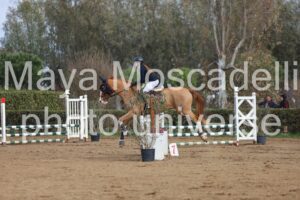 IMG_4034
