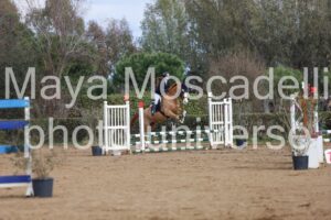 IMG_4037