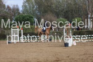 IMG_4039