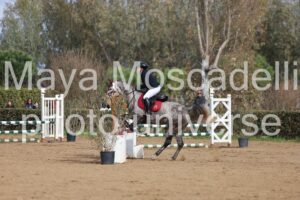 IMG_4094
