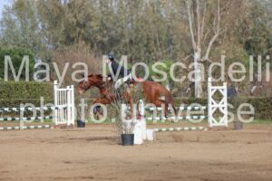 IMG_4148