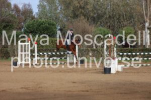 IMG_4152