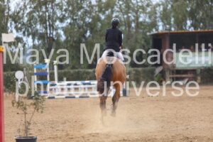 IMG_4485