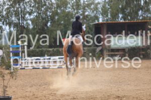 IMG_4487