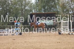 IMG_4511