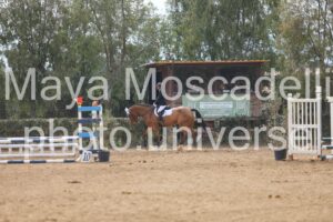 IMG_4512