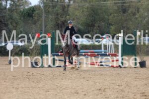 IMG_4517