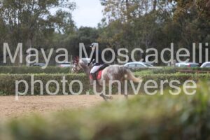 IMG_4521