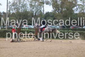 IMG_4522