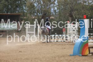 IMG_4535