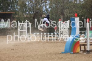 IMG_4536